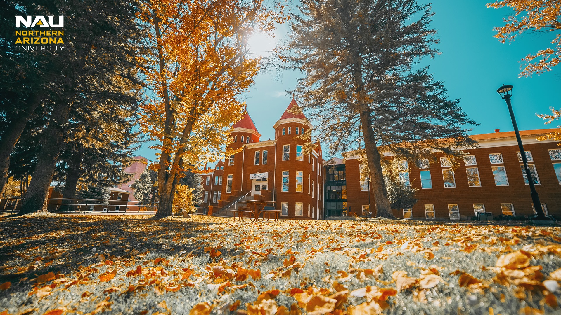 Northern University: Shaping the Future Through Education and Innovation